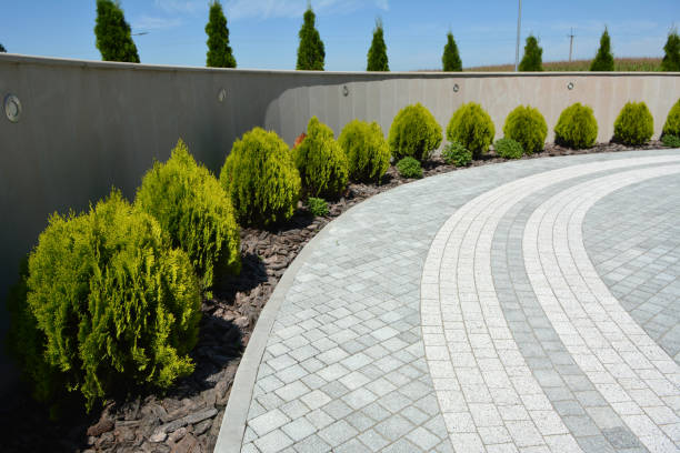 Best Best Driveway Pavers  in Edgewood, OH